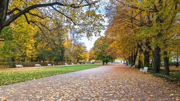 ポーランドのワルシャワにあるロイヤルバスパークの秋の景色 — ストック写真