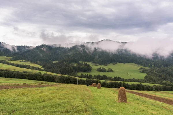 多云天气下的波兰南部皮纳尼山脉乡村景观 — 图库照片