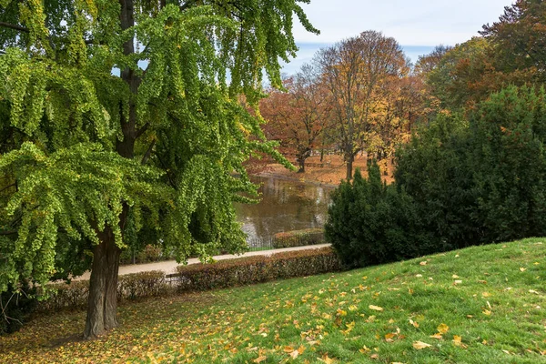 Kleurrijke Herfst Saksische Tuin Het Centrum Van Warschau — Stockfoto