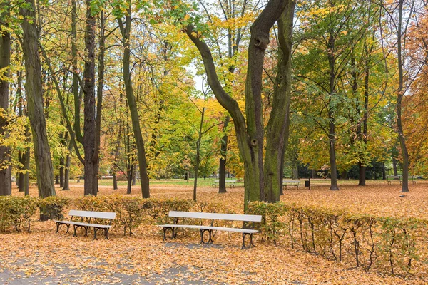 华沙市中心撒克逊花园五彩缤纷的秋天 — 图库照片