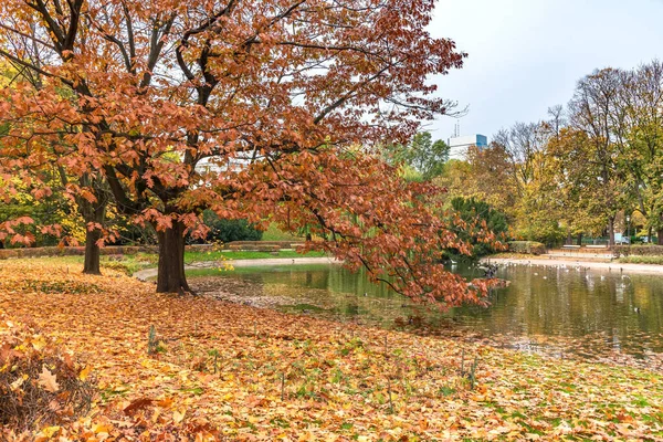 Kolorowy Widok Staw Ogrodzie Saskim Warszawie Jesienią — Zdjęcie stockowe