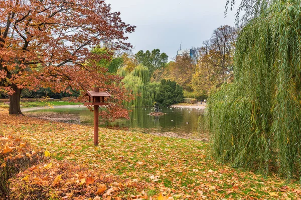 秋のワルシャワのサクソンガーデンの池で鳥の餌やり — ストック写真
