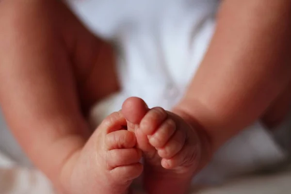 çorap clubfoot kalça displazisi olmadan yeni doğmuş bir erkek bebek ayakları