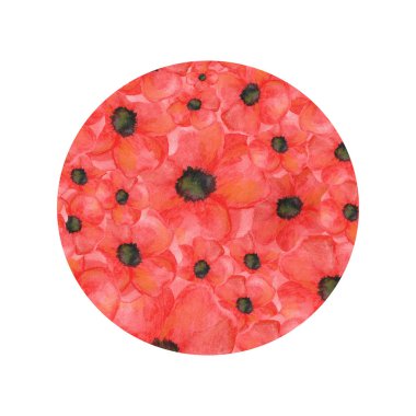 Beyaz arka planda Poppies daire şekli. el çizilmiş suluboya botanik. kartlar için, baskı için