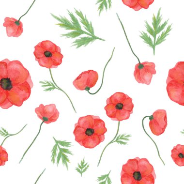 Beyaz arka planda Poppies Dikişsiz deseni. El boyalı suluboya. Tasarım, tekstil, baskı
