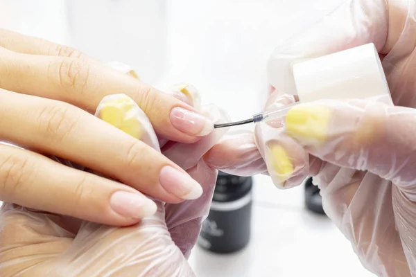 manicure. the manicurist applies the base to the client under the gel polish. transparent base on the nails.
