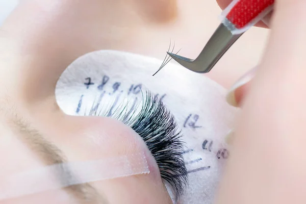 Eyelash extension procedure. Beautiful woman with long eyelashes in a beauty salon. Eyelashes close up. tweezers in the hands of the master