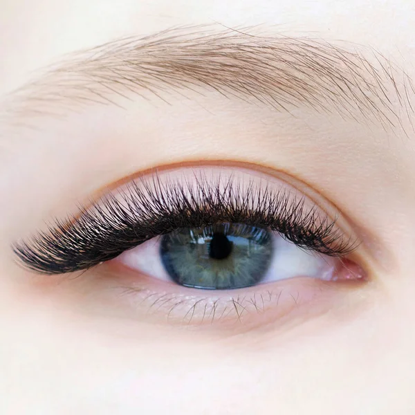 Eyelash extensions. Close-up of eye with extended eyelashes of a white girl