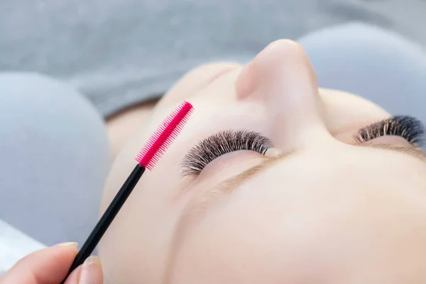 Eyelash extension procedure. Beautiful woman with long eyelashes in a beauty salon. Eyelashes close-up. brush in the hands of the master