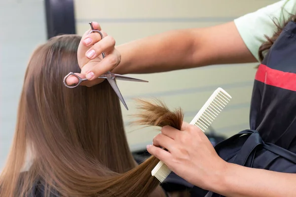 Cabeleireiro Feminino Salão Beleza Estilista Profissional Corta Cabelo Feminino Salão — Fotografia de Stock