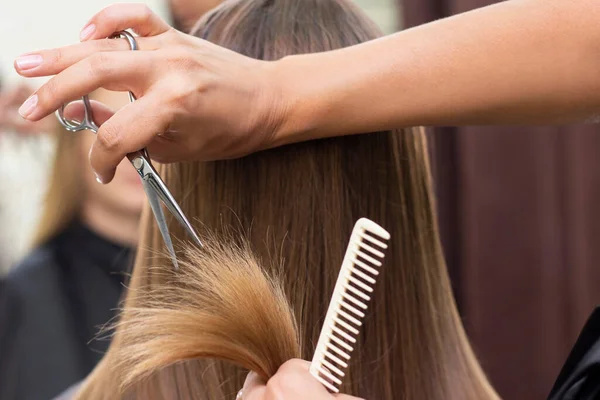 Cabeleireiro Feminino Salão Beleza Estilista Profissional Corta Cabelo Feminino Salão — Fotografia de Stock