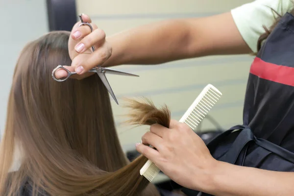 Dámské Kadeřnice Salon Krásy Profesionální Stylistka Stříhá Ženské Vlasy Salonu — Stock fotografie