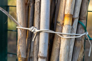 Bir saz demeti bir iple birbirine bağlanır. Ahşap kahverengi ve pürüzlü bir dokusu var. İp beyaz ve düğümlenmiş. Sahnenin kırsal ve doğal bir havası var.