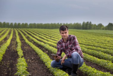 Tablet soya alanında baharda çömelme ile genç yakışıklı bir çiftçi. Tarım ve İnovasyon kavramı