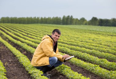 Tablet soya alanında baharda çömelme ile genç yakışıklı bir çiftçi. Tarım ve İnovasyon kavramı