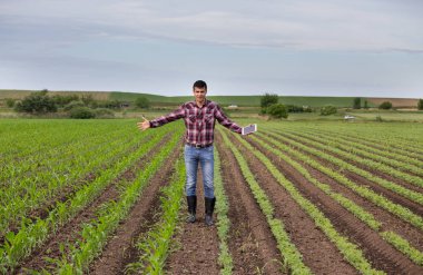 Genç yakışıklı bir çiftçi ile Mısır ve soya alan tablet ayakta bahar. Tarım ve İnovasyon kavramı