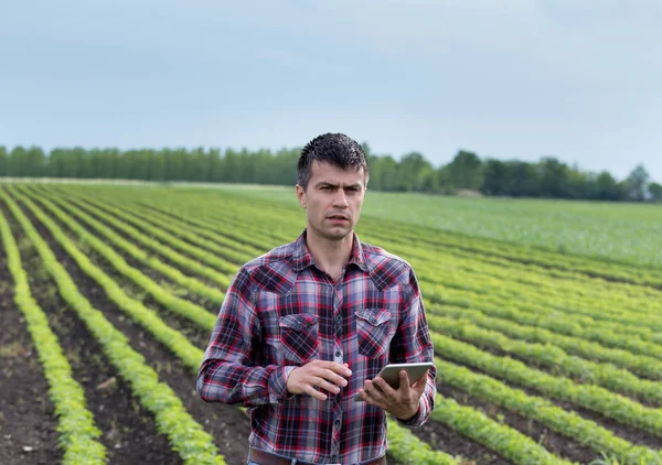 Young handsome farmer with tablet in soybean field in spring. Agribusiness and agricultural innovation concept