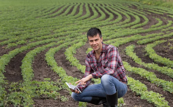 Junge Hübsche Bäuerin Mit Tablet Die Frühjahr Maisfeld Hockt Agrarwirtschaft — Stockfoto