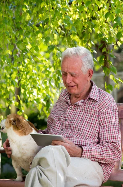 悲伤的老人与他的狗坐在花园的长凳上 看着片剂和哭泣 — 图库照片