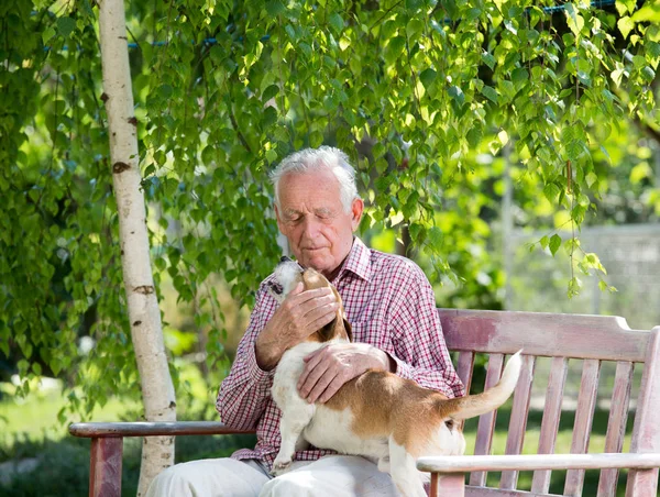 春天的花园里 老人抱着狗在长凳上 — 图库照片