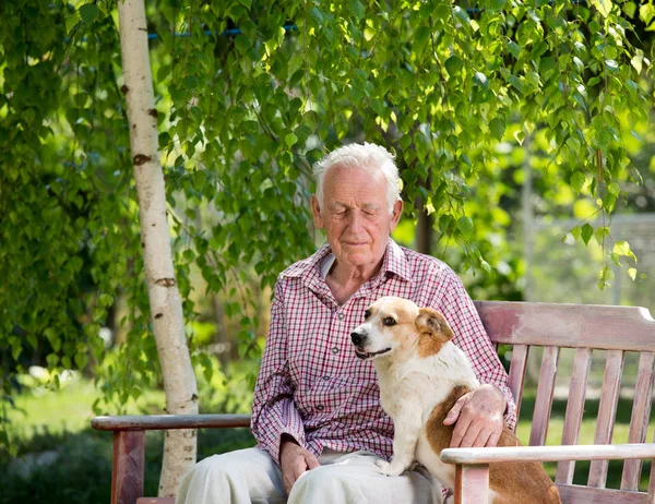 Oude Man Hond Knuffelen Bank Tuin Het Voorjaar — Stockfoto