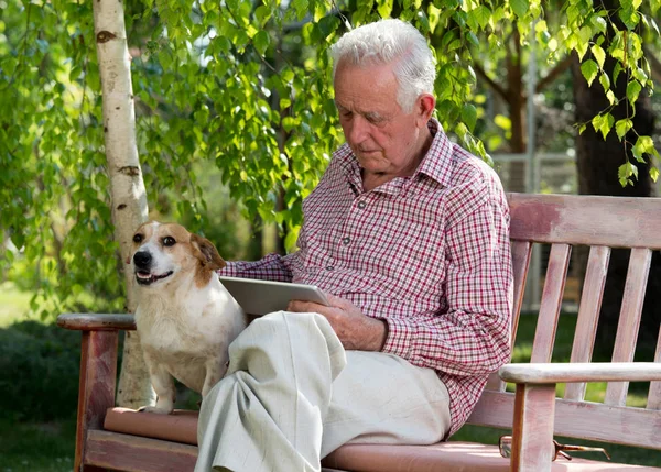 犬は庭のベンチに座っているとタブレットを見てを持つ老人 — ストック写真