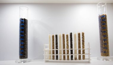 Test tüpleri kürsüye düzenlenmiş farklı tahıl tohumları ile. Biyoteknoloji kavramı