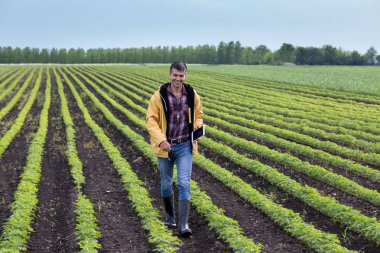 Baharda soya alanına yürüyor tablet ile genç yakışıklı bir çiftçi. Tarım ve İnovasyon kavramı
