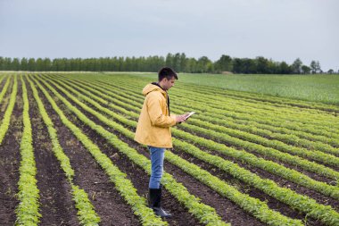 Genç yakışıklı bir çiftçi ile soya alan tablet ayakta bahar. Tarım ve İnovasyon kavramı