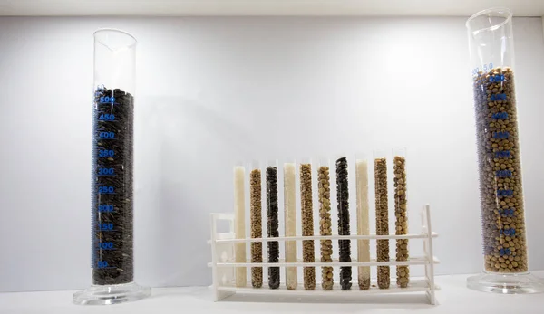 Tubos Ensayo Con Diferentes Semillas Cereales Dispuestos Soporte Concepto Biotecnológico —  Fotos de Stock