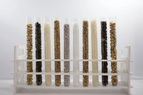 Test Tubes Different Cereal Seeds Arranged Stand Biotechnology Concept — Stock Photo, Image