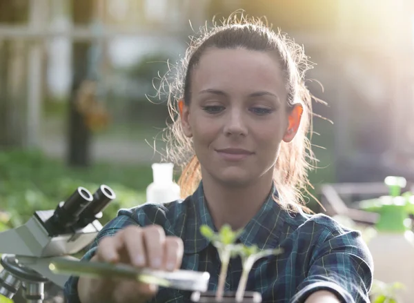 Mujer Joven Bonita Agricultora Vertiendo Productos Químicos Maceta Con Plántulas — Foto de Stock