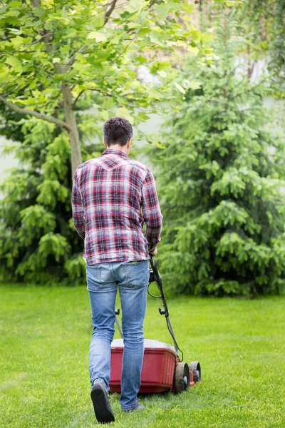 Rear View Handsome Young Man Trimming Grass Electric Mower Backyard — Stock Photo, Image