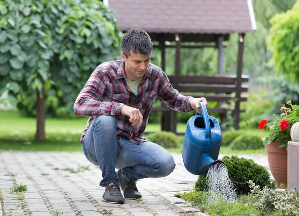 英俊的男人在花园里浇花 植物护理理念 — 图库照片