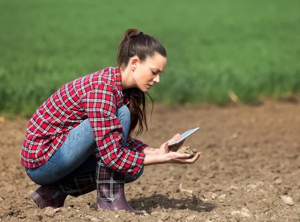 Fiatal Csinos Farmer Tábla Ellenőrzése Talajminőség Mező — Stock Fotó