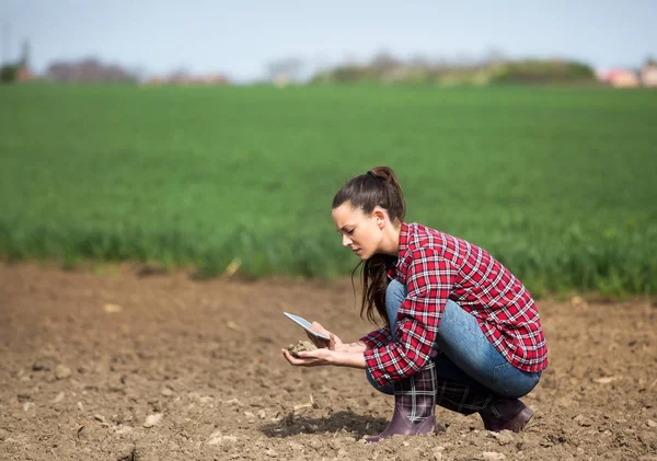 Junge Hübsche Bäuerin Mit Tablette Überprüft Bodenqualität Auf Dem Feld — Stockfoto