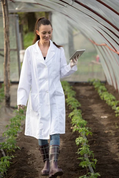 Ung Söt Kvinna Agronom Vit Rock Med Tablett Övervaka Plantor — Stockfoto