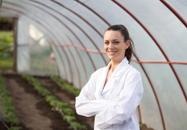 Bonita Mujer Agrónoma Capa Blanca Pie Invernadero Con Los Brazos — Foto de Stock