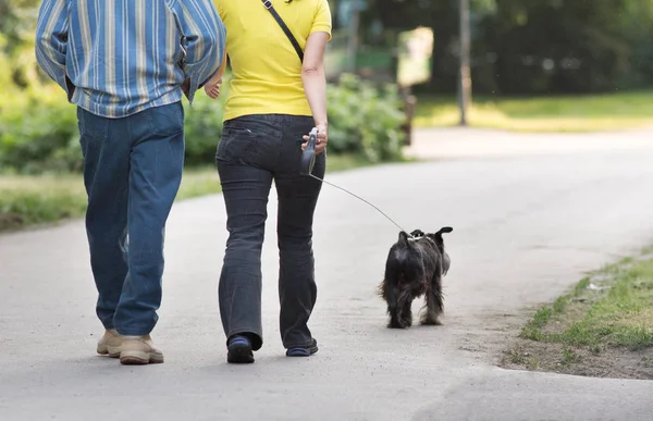 Vista Trasera Pareja Adulta Paseando Perro Parque Primavera — Foto de Stock