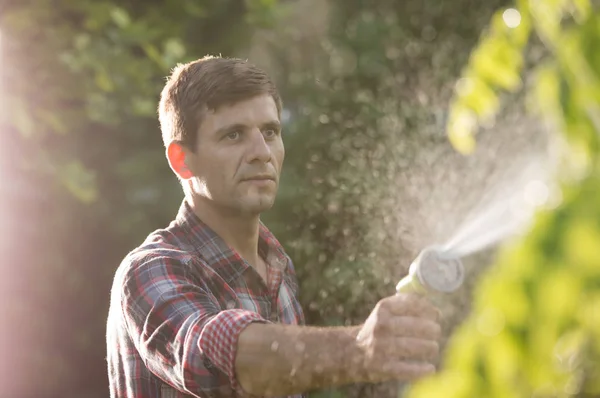 Jardineiro Segurando Mão Pulverizador Mangueira Plantas Rega Jardim — Fotografia de Stock