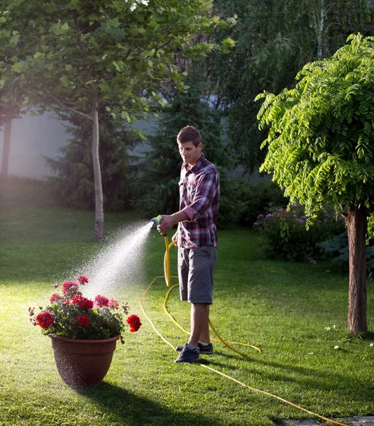 Jardinero Sosteniendo Pulverizador Manguera Mano Plantas Riego Jardín — Foto de Stock