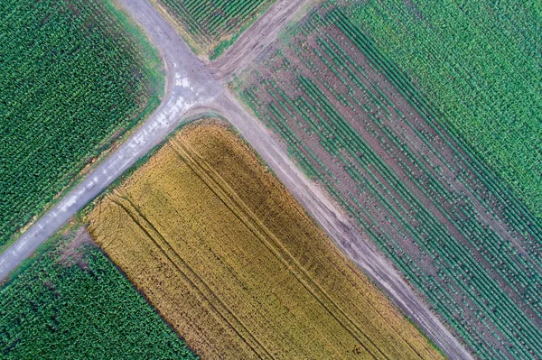 Abstract geometric shapes of agricultural parcels of different crops. Aerial view shoot from drone directly above field