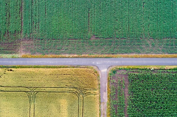 Abstrakta Geometriska Former Jordbruksskiften Olika Grödor Flygfoto Skjuta Från Drone — Stockfoto