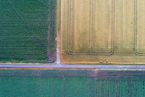 Abstrakta Geometriska Former Jordbruksskiften Olika Grödor Flygfoto Skjuta Från Drone — Stockfoto