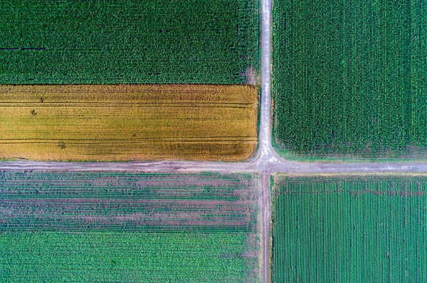 Formas Geométricas Abstractas Parcelas Agrícolas Diferentes Cultivos Vista Aérea Disparar —  Fotos de Stock