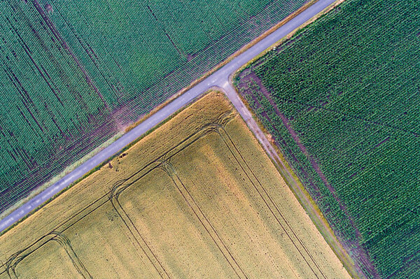 Abstract geometric shapes of agricultural parcels of different crops. Aerial view shoot from drone directly above field