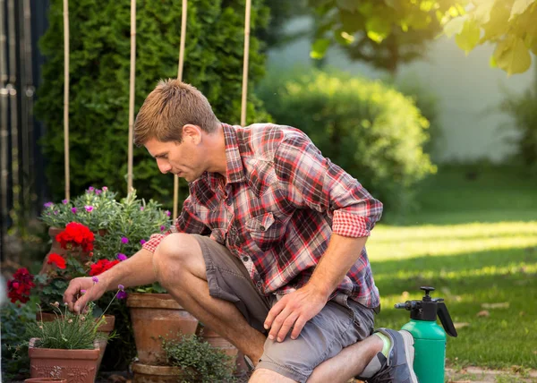 Jardinero Cuidando Plantas Macetas Jardín — Foto de Stock