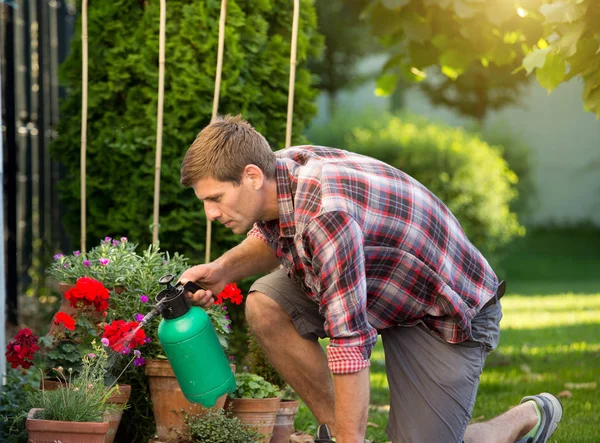 Hombre Sosteniendo Botella Presurizada Plantas Riego Macetas Jardín — Foto de Stock