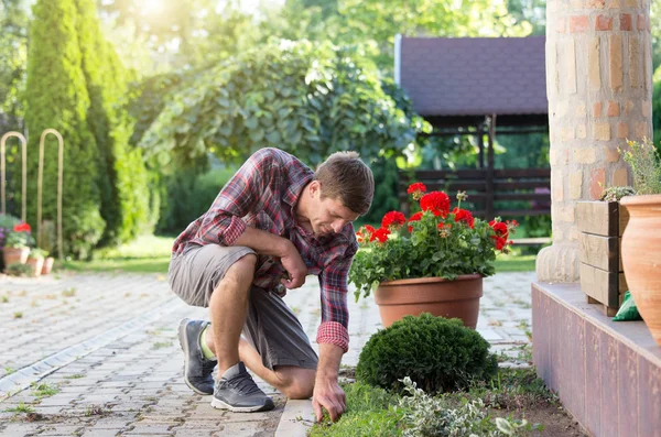 Jardinero Quitando Hierba Del Jardín Hombre Cuidando Césped Patio Trasero — Foto de Stock