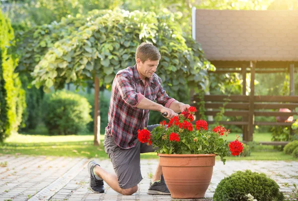 Guapo Jardinero Joven Con Tijeras Cuidando Las Plantas Macetas Jardín — Foto de Stock